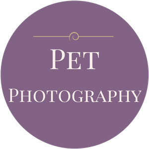 Pets photography services with Maxheim Photography